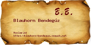 Blauhorn Bendegúz névjegykártya