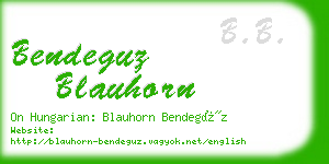 bendeguz blauhorn business card